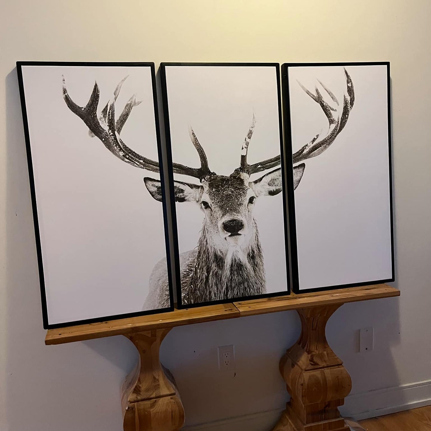 XL Buck Set of Three 40x60