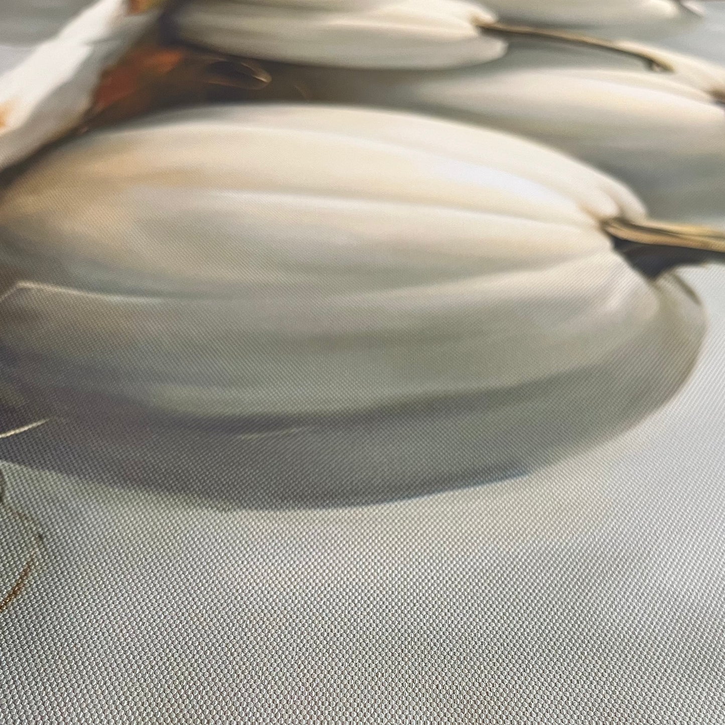 White Pumpkins