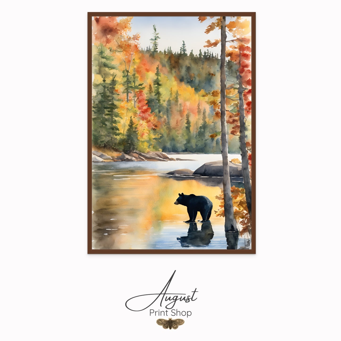 Algonquin Black Bear II