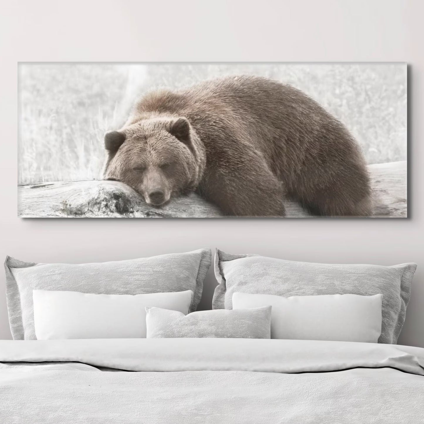 Sleepy Grizzly Bear