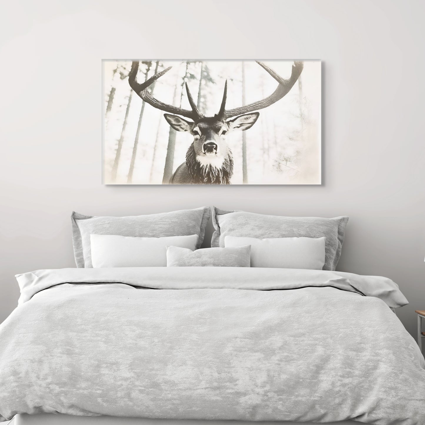 Black and White Buck