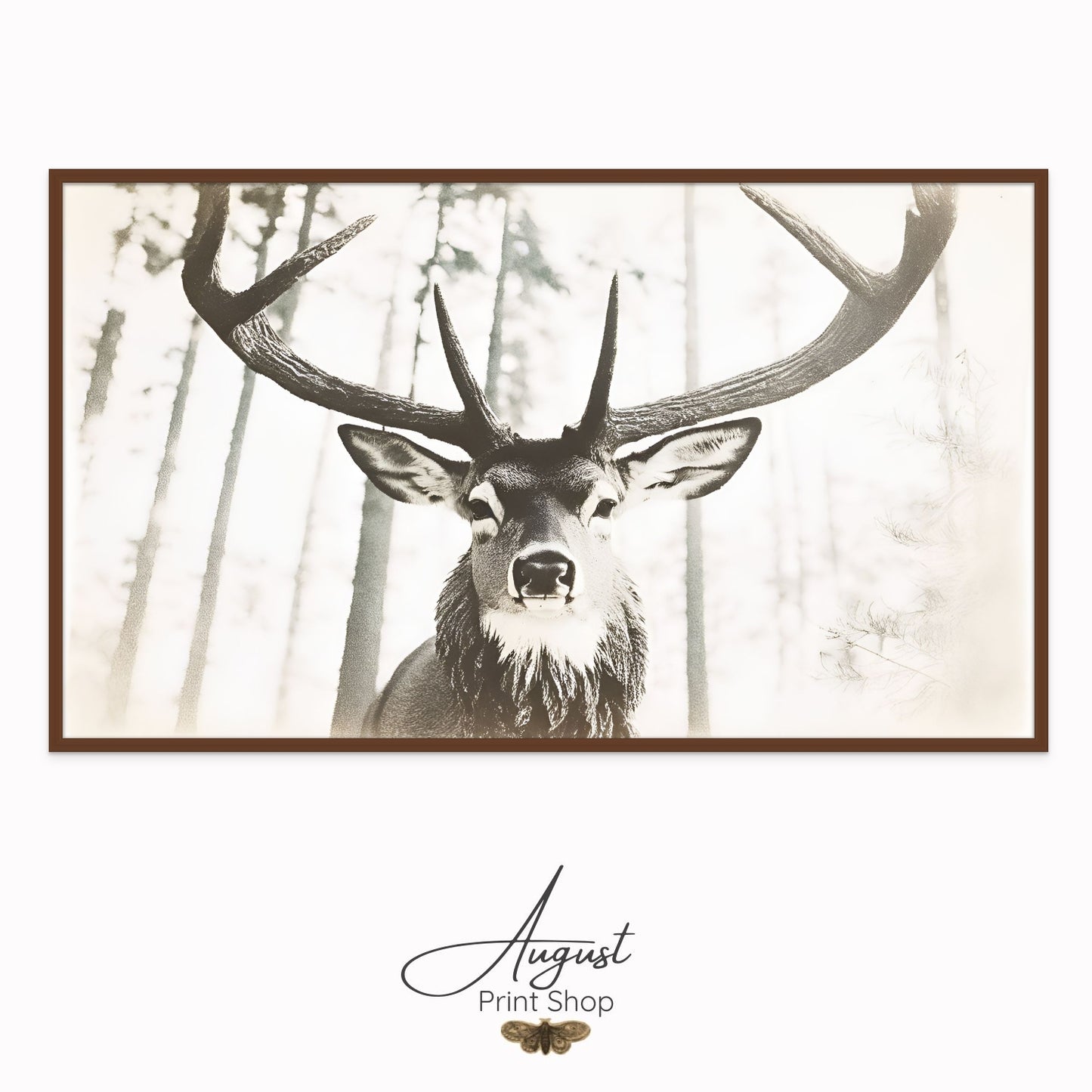 Black and White Buck