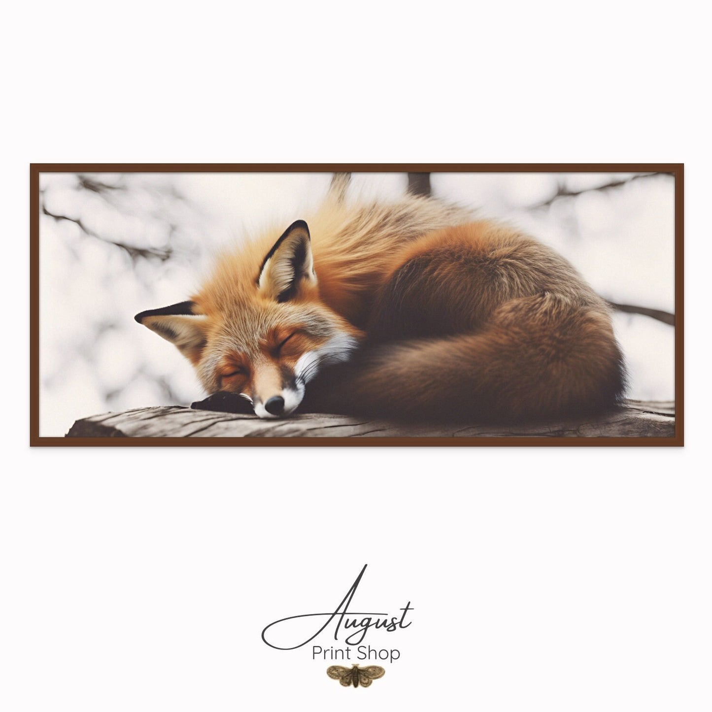 Red Fox Sleeping peacefully on a log photograph print on canvas. Bright and light background with a striking red fox color