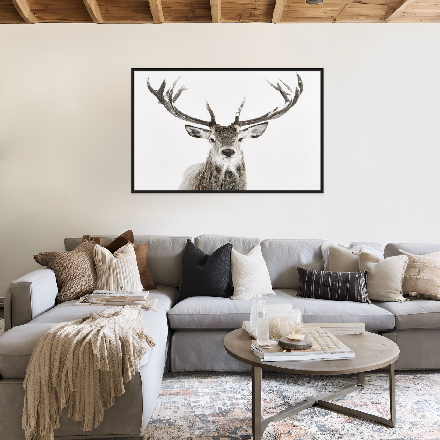 White Tail Deer