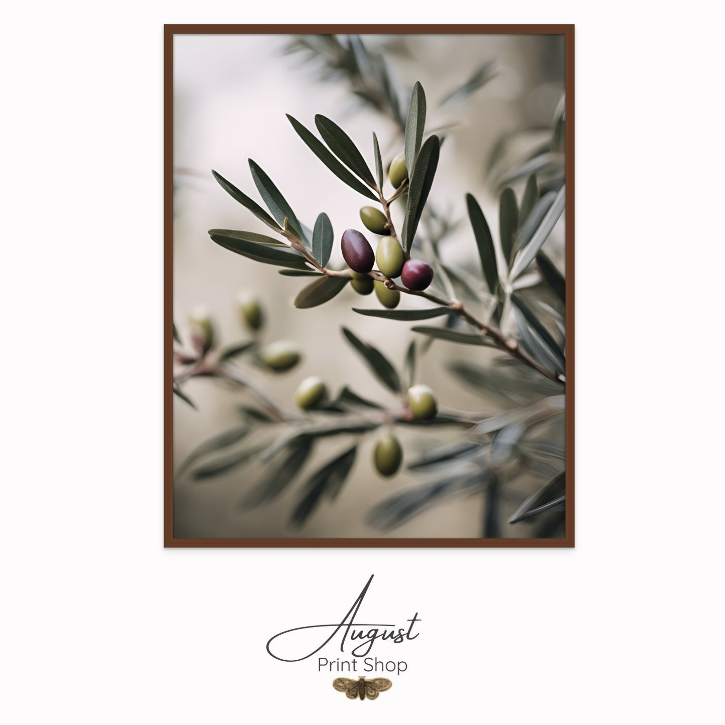 Olive Branch Photo