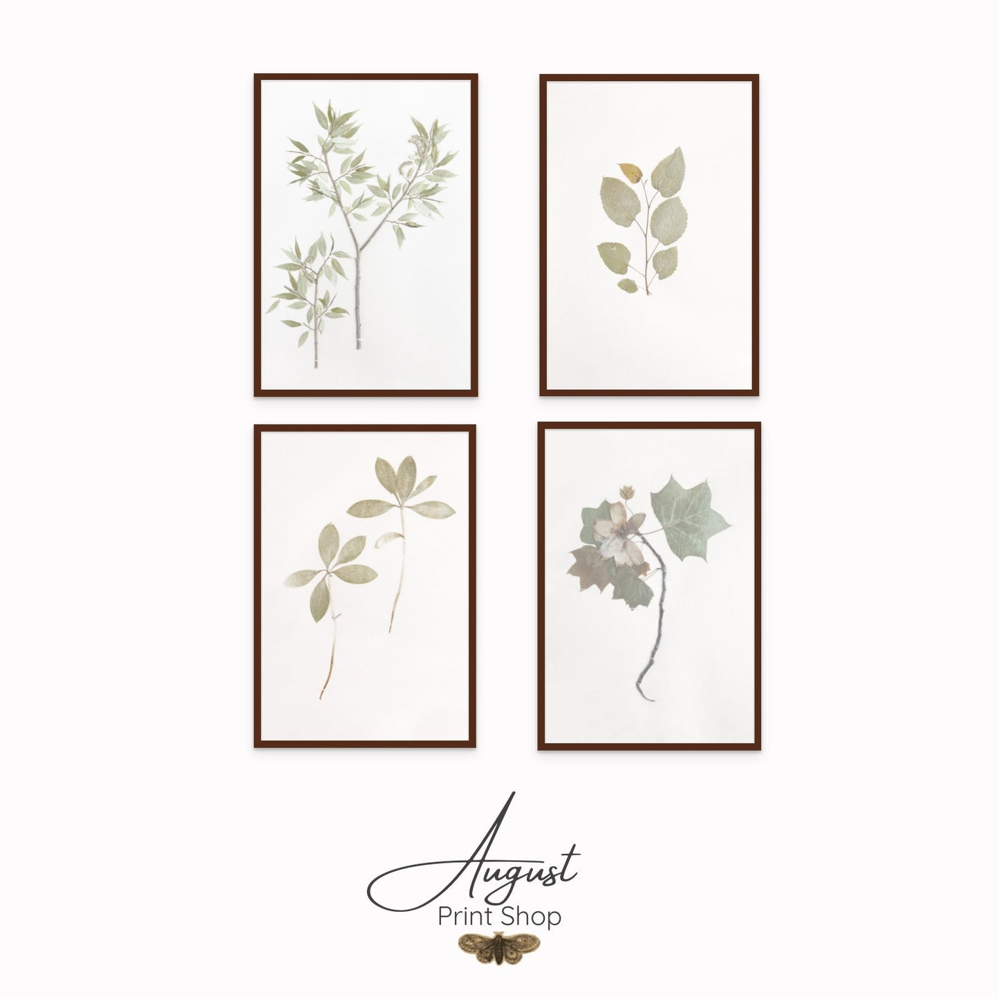 Whispering Botanical Study Set of Four