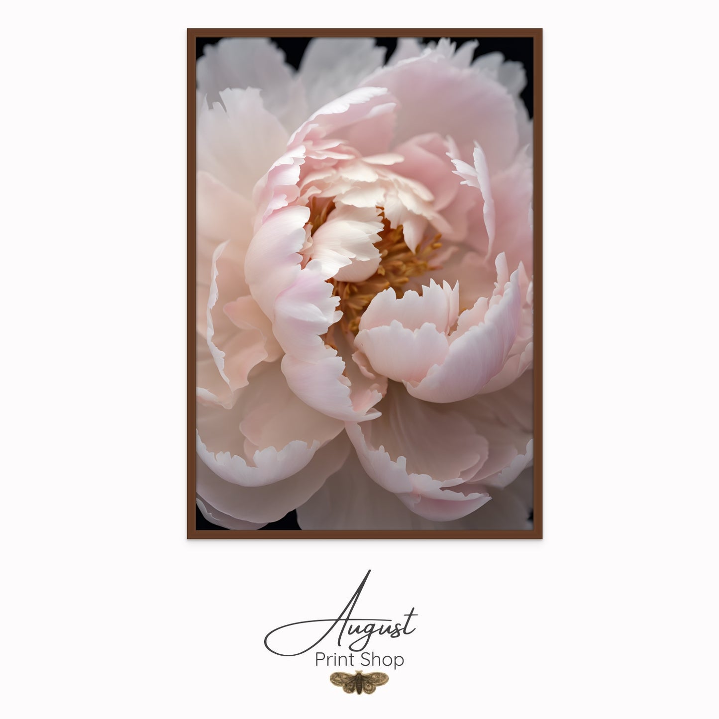 Soft Pink Peony I