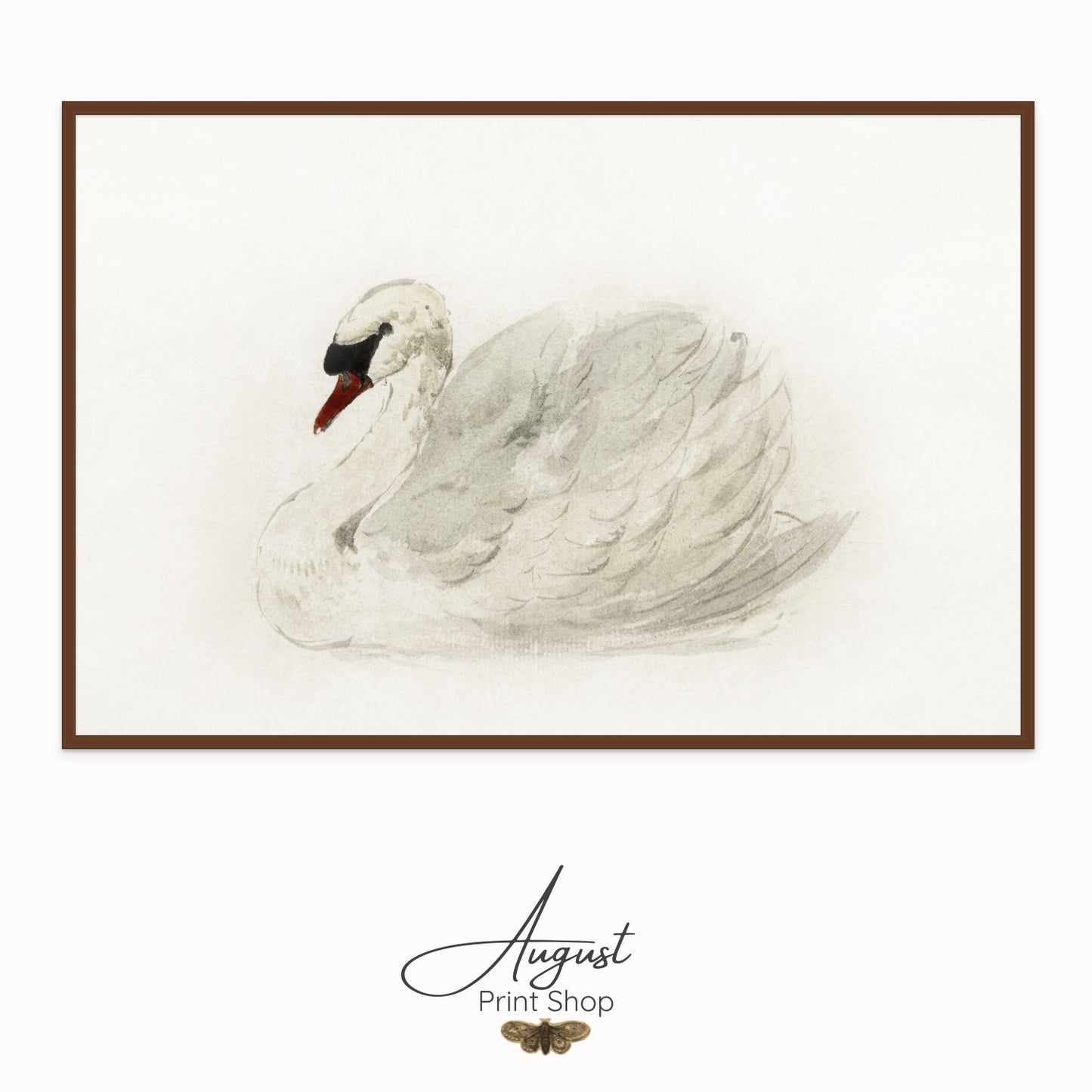 Vintage White Swan