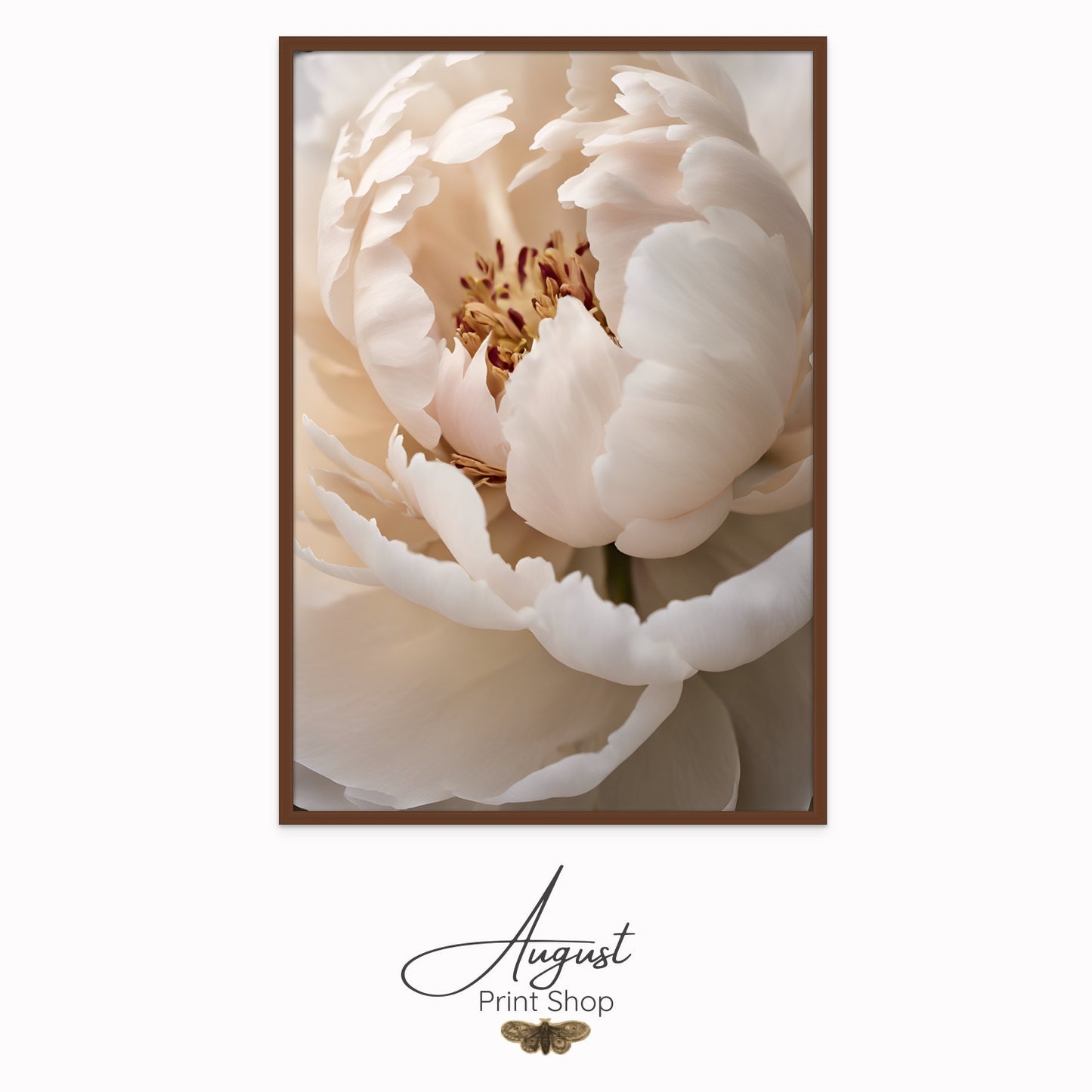 Warm Beige Peony II