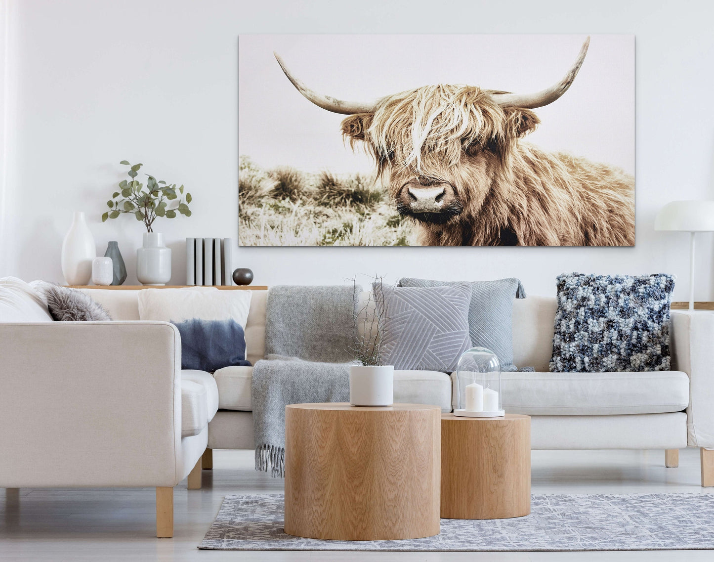 Gold Blonde Highland Cow