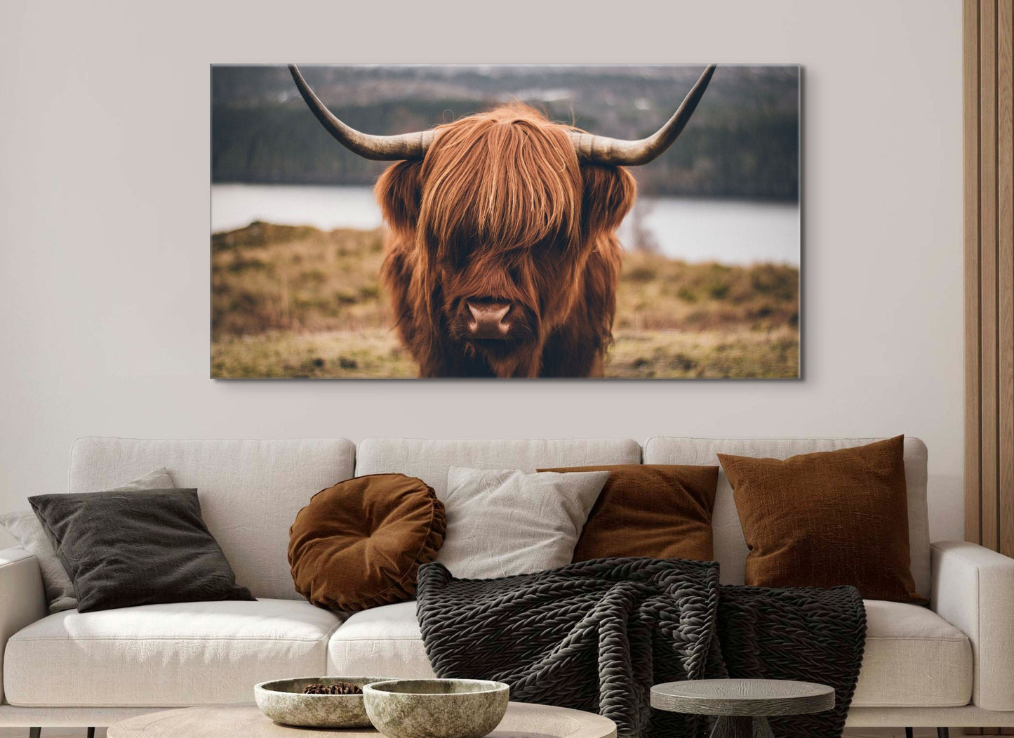 Shy Highland Cow