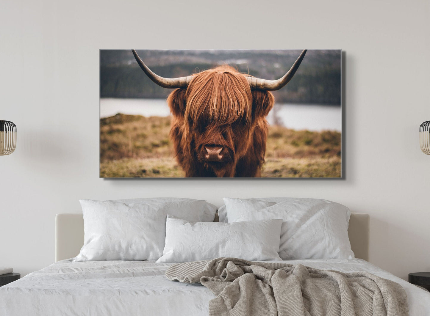Shy Highland Cow