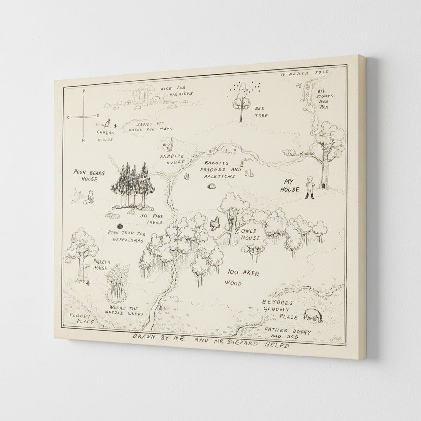 Illustrated map of a fantasy forest in Pooh Bear's World 100 Acre Woods with various landmarks.
