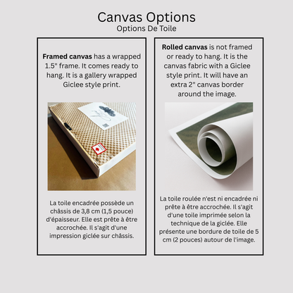 Canvas options diagram with framed and rolled canvas descriptions and images.