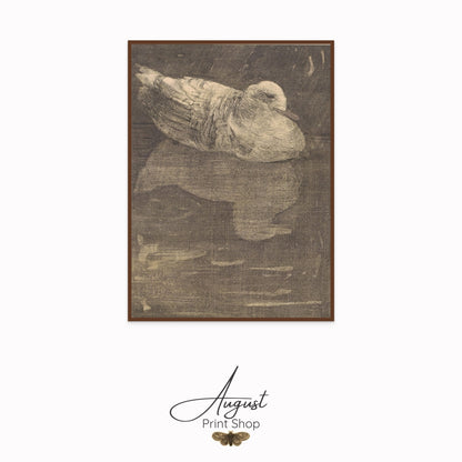 Framed artwork of a seagull on a white background with 'August Print Shop' branding.