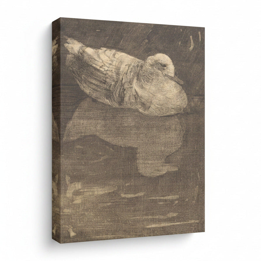 Framed artwork of a seagull on a white background with 'August Print Shop' branding.