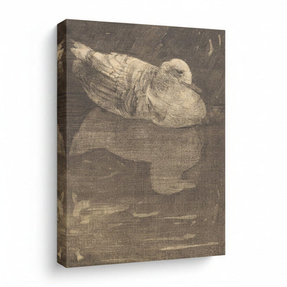 Framed artwork of a seagull on a white background with 'August Print Shop' branding.