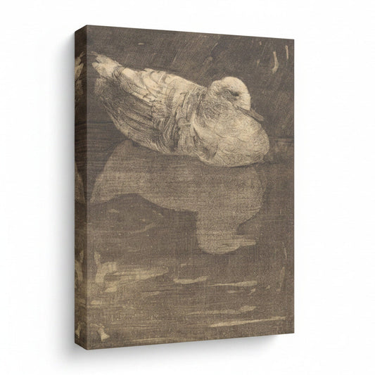 Framed artwork of a seagull on a white background with 'August Print Shop' branding.