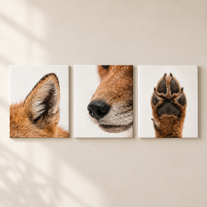 Three-panel canvas wall art showing close-up animal portraits of a fox, with the center panel showing the nose and mouth and the right panel showing a raised paw, mounted on a light beige wall.