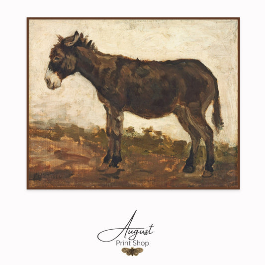 A Study of a Donkey