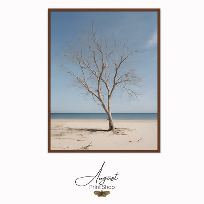 photograph print on canvas of leafless tree in the middle of a sunny, calm beach. Featuring soft blues ad beige neutrals.