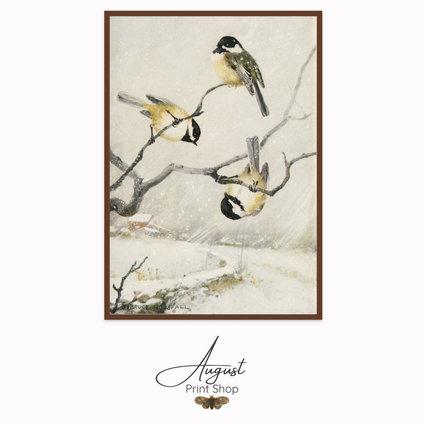 Bruce Horsfall’s Bird Lore captures the playful spirit of winter as three finches frolic on bare branches against a serene, snowy background.