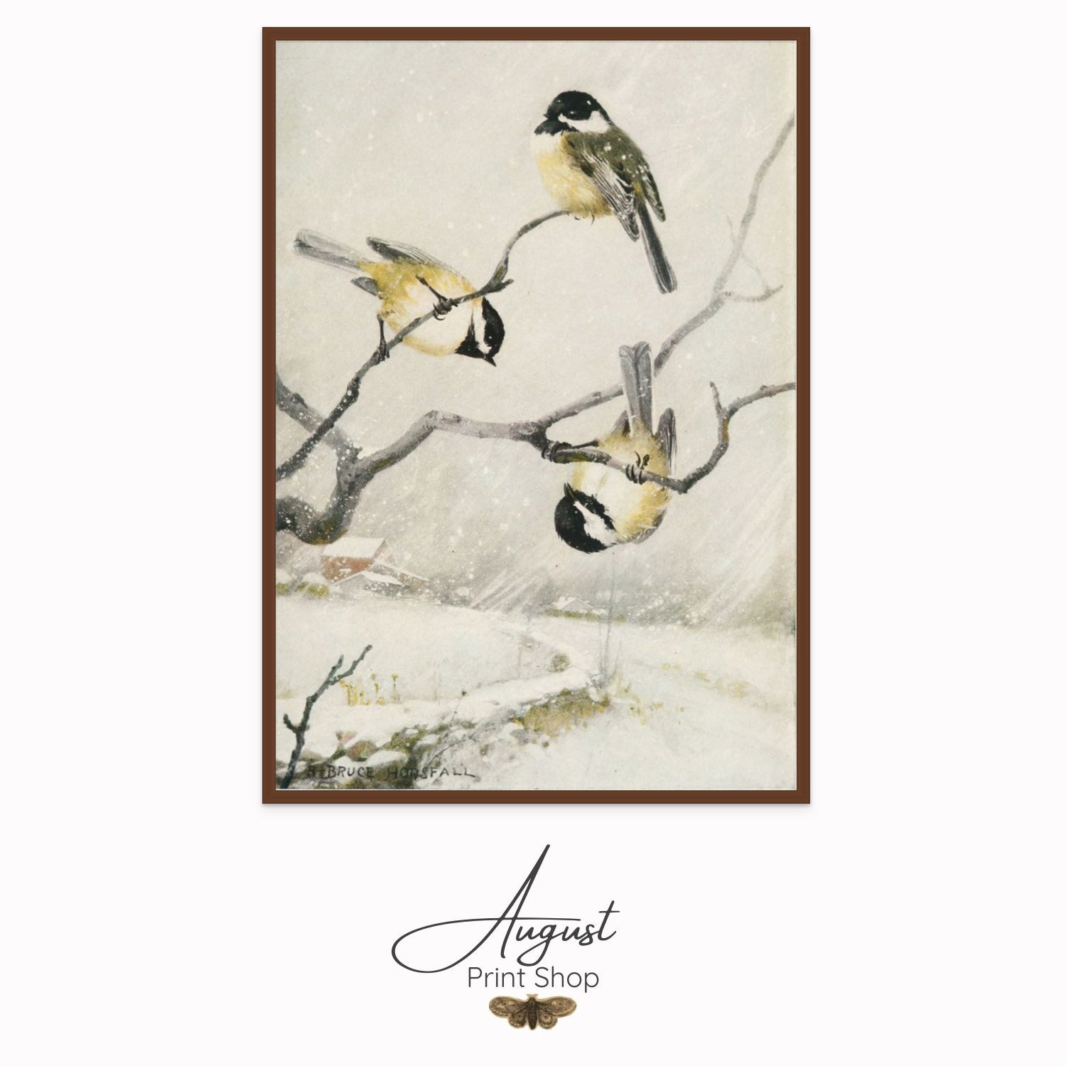 Bruce Horsfall’s Bird Lore captures the playful spirit of winter as three finches frolic on bare branches against a serene, snowy background.