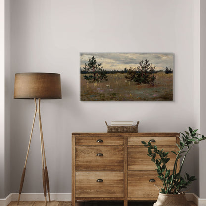 Clearing With Pine Trees