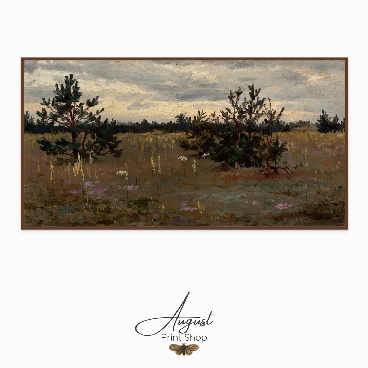 Clearing With Pine Trees