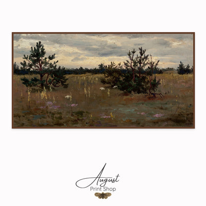 Clearing With Pine Trees