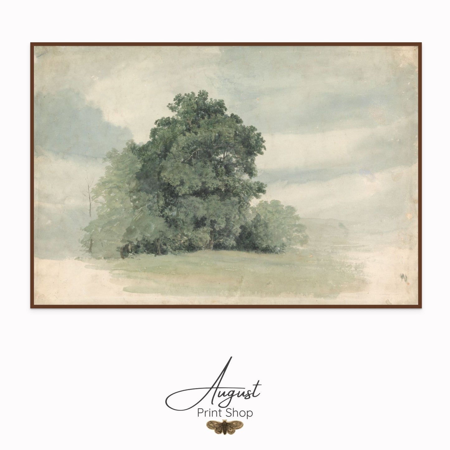 Tree Study - Cornelius Varley
