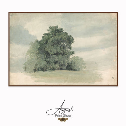 Tree Study - Cornelius Varley