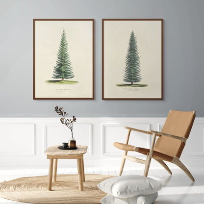 Two framed tree prints on a wall above a wooden side table and chair.