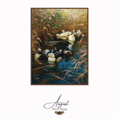 Ducks in Autumn Reeds