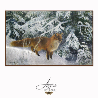 Fox in Winter