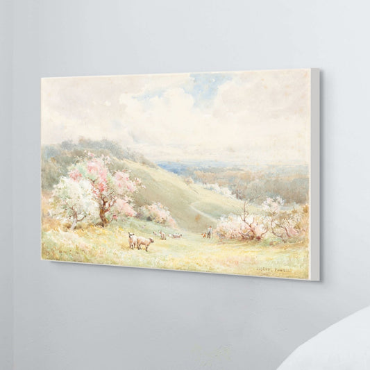 Lambs in a Spring Field