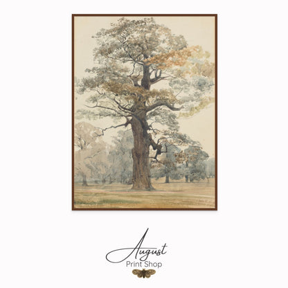 Framed artwork of a tree with 'August Print Shop' branding.