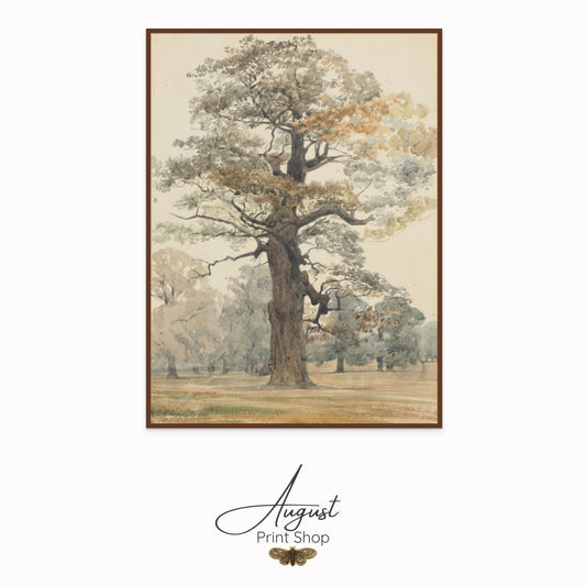 Framed artwork of a tree with 'August Print Shop' branding.