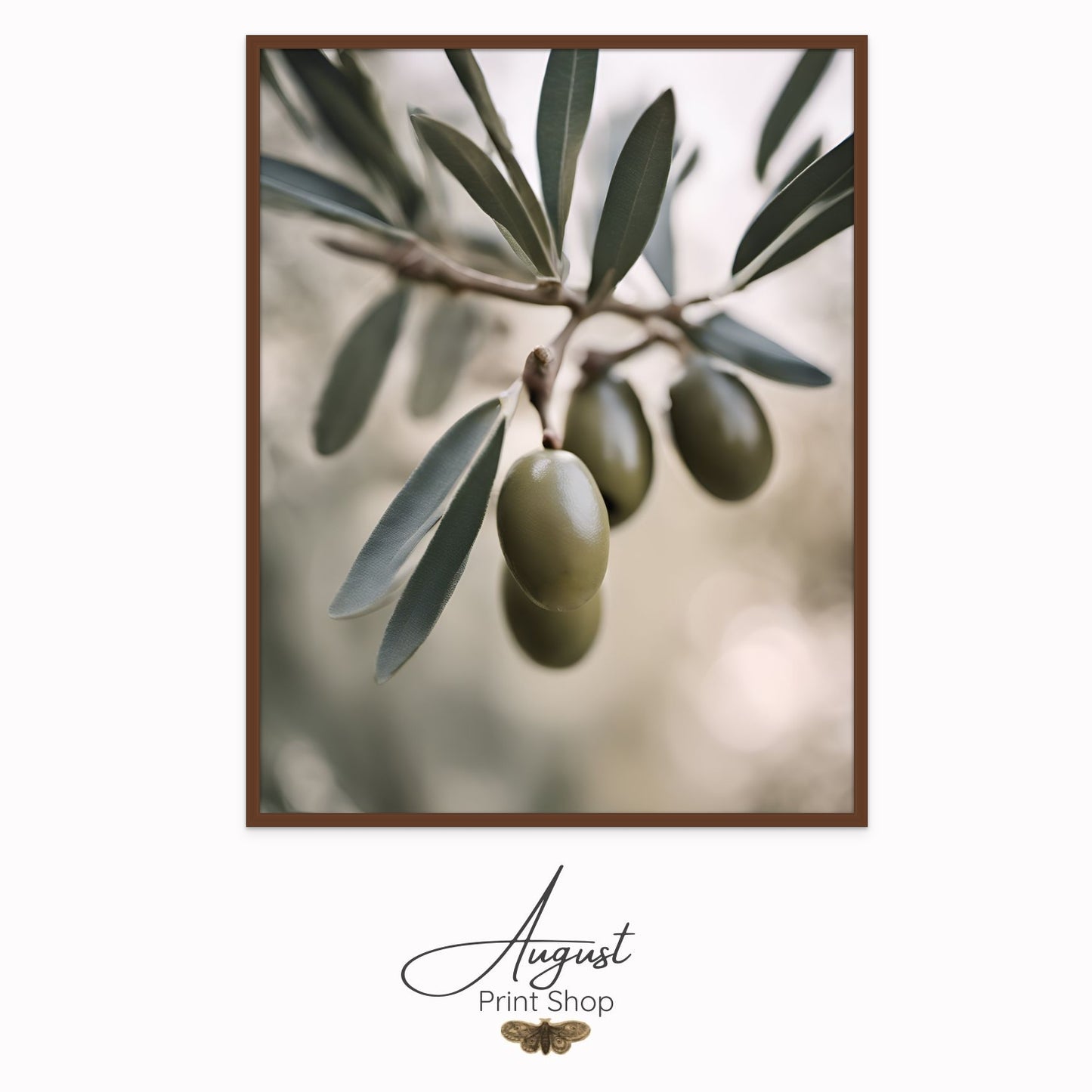 Olive Branch Close Up