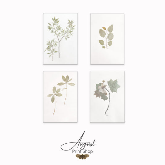 set of 4 soft green botantical canvas prints