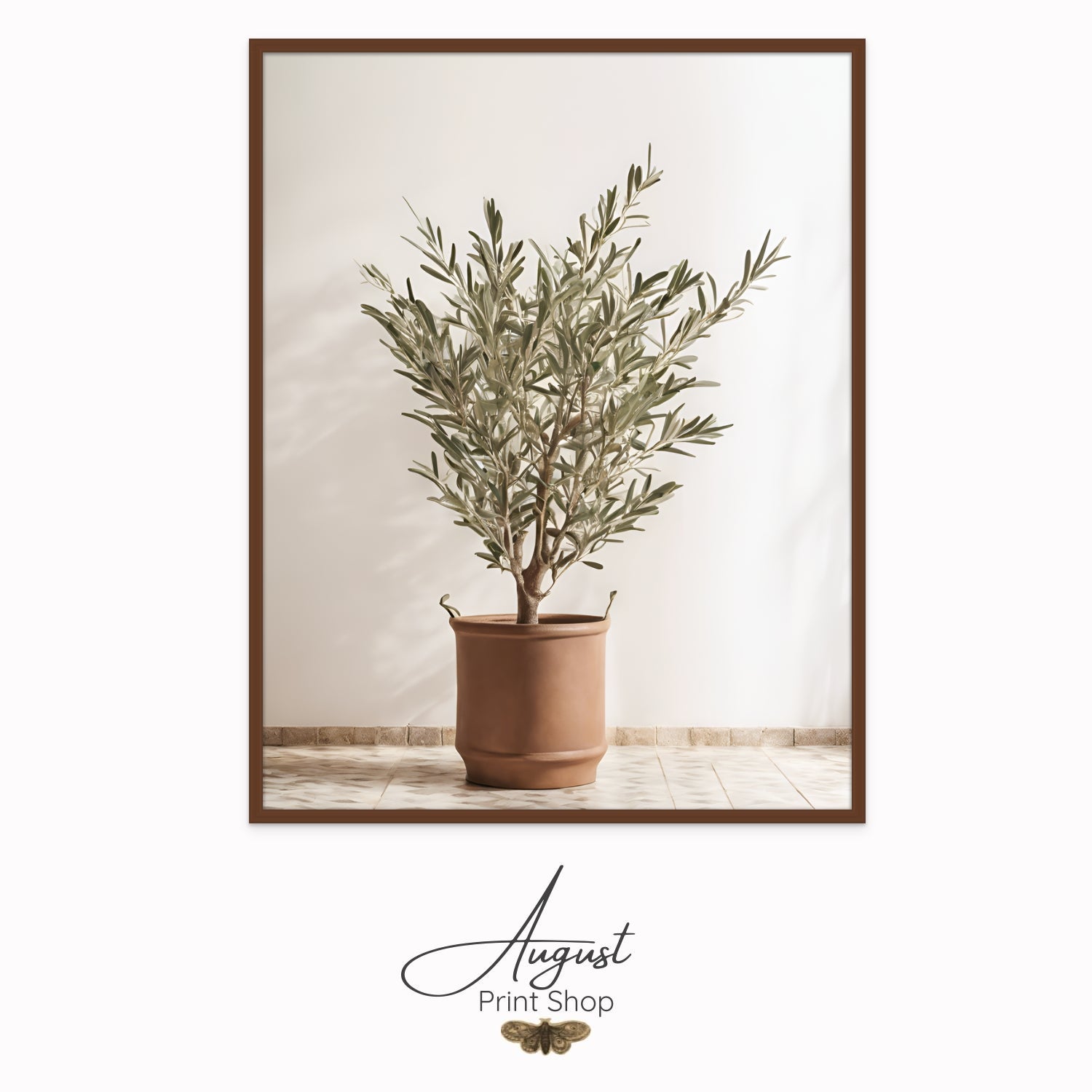 A unique photograph print on canvas of and olive tree in a terracotta color pot with handles. Featuring a bright and sunny background.