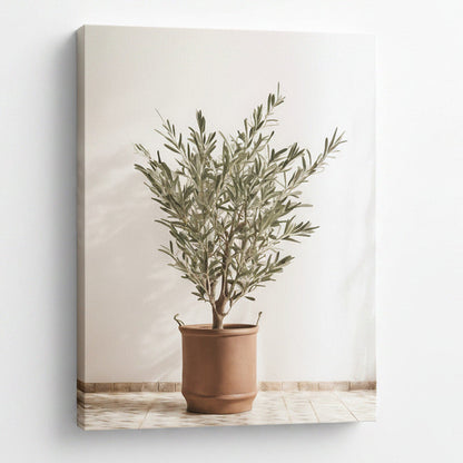 A unique photograph print on canvas of and olive tree in a terracotta color pot with handles. Featuring a bright and sunny background.
