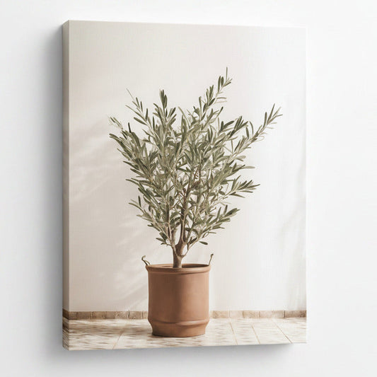 A unique photograph print on canvas of and olive tree in a terracotta color pot with handles. Featuring a bright and sunny background.