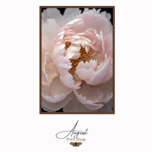 Soft Pink Peony I