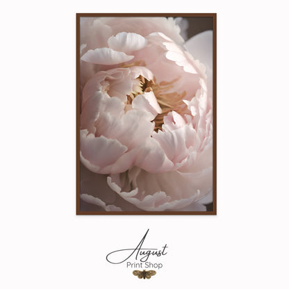 Soft Pink Peony II