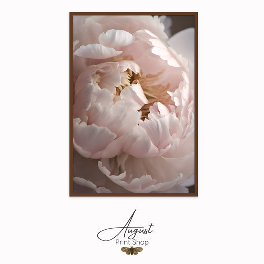 Soft Pink Peony II