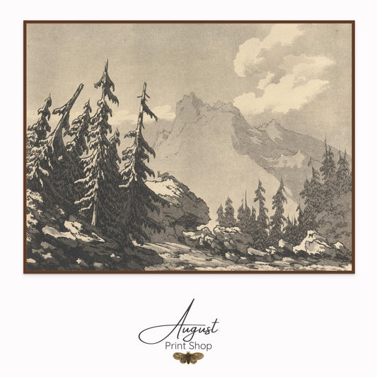 Spruce - John Cozens