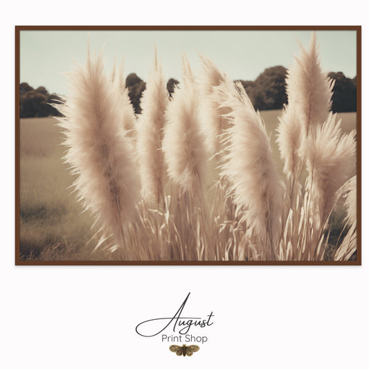 A unique photograph print on canvas of soft and fluffy pampas grass by a wheat field. A calm and serene landscape.