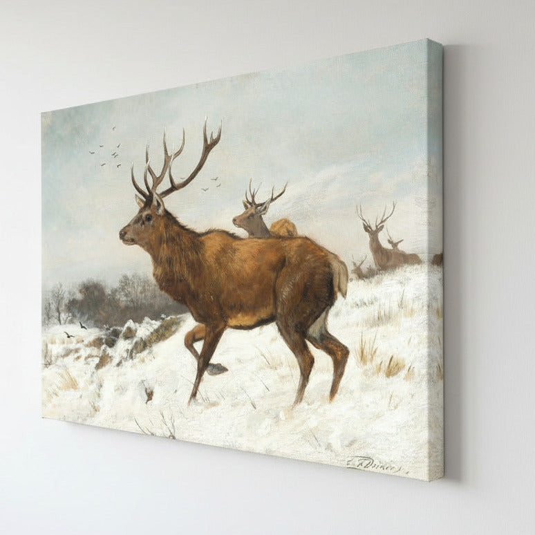 Framed artwork of deer in a snowy landscape with 'August Print Shop' branding.