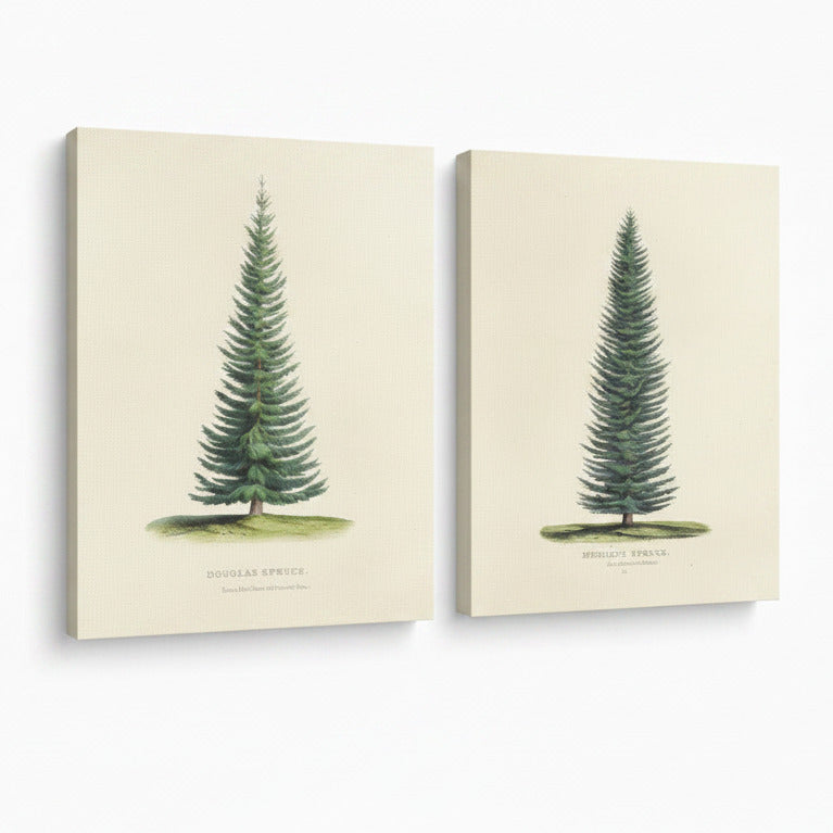 Two canvas prints with illustrations of trees on a white background, featuring the 'August Print Shop' logo.